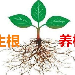 果树蔬菜施肥管理，该“ 生根 ” 还是 “ 养根 ” ？